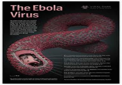 โรคไวรัสอีโบลา